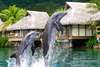 InterContinental Resort & Spa Moorea 